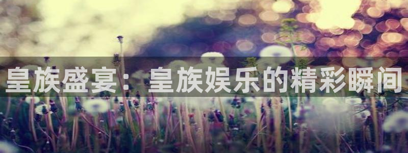 奇亿娱乐官方网站首页：皇族盛宴：皇族娱乐的精彩瞬间