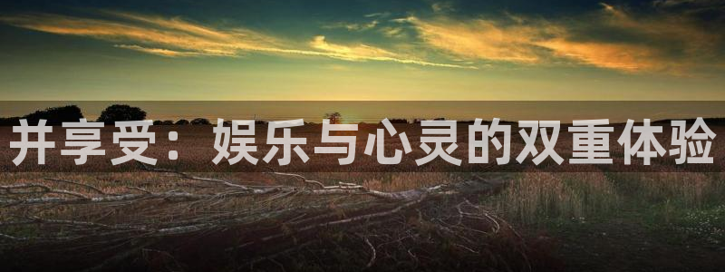 奇亿娱乐home：并享受：娱乐与心灵的双重体验
