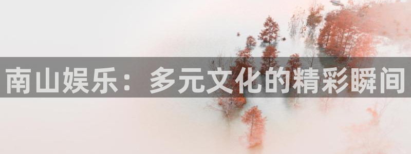 奇亿娱乐app：南山娱乐：多元文化的精彩瞬间
