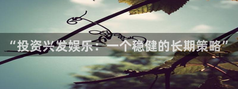 奇亿娱乐官方网站首页：“投资兴发娱乐：一个稳健的长期策略”