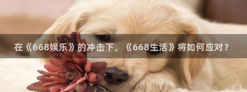 奇亿娱乐平台：在《668娱乐》的冲击下，《668生活》将如何应对？
